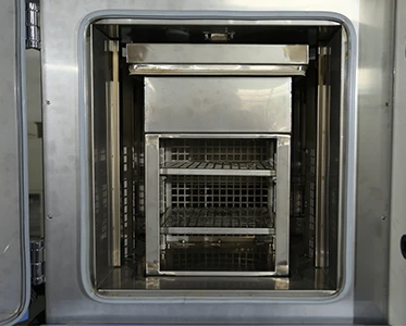 test area.jpg